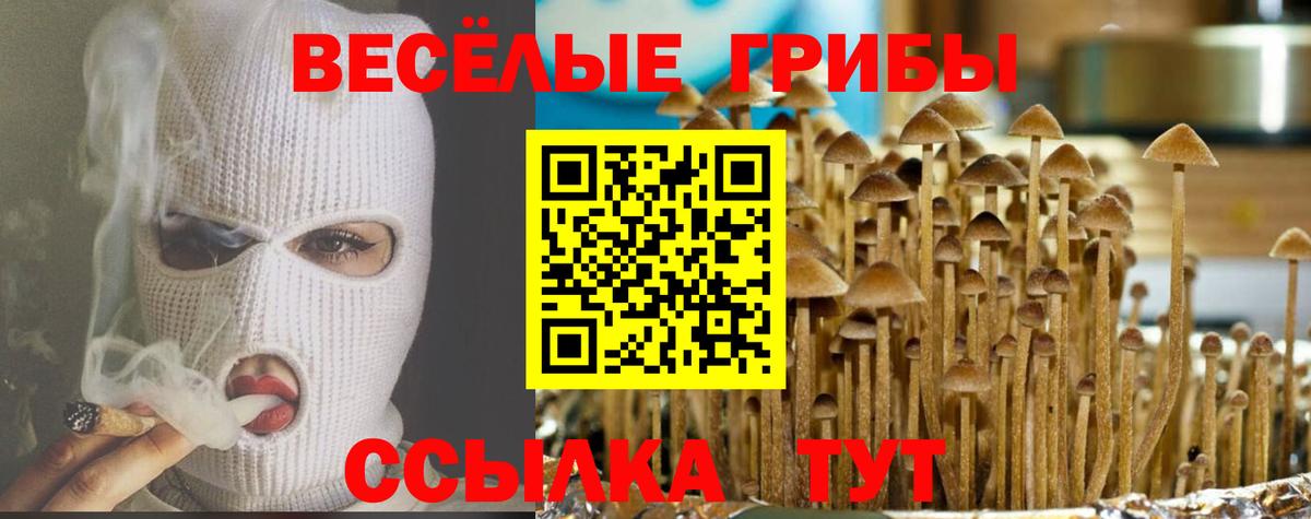 Псилоцибиновые грибы мухоморы Сафоново